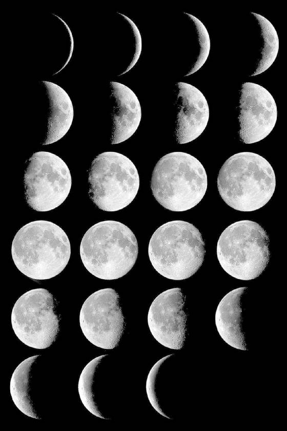 moon_phases.jpg